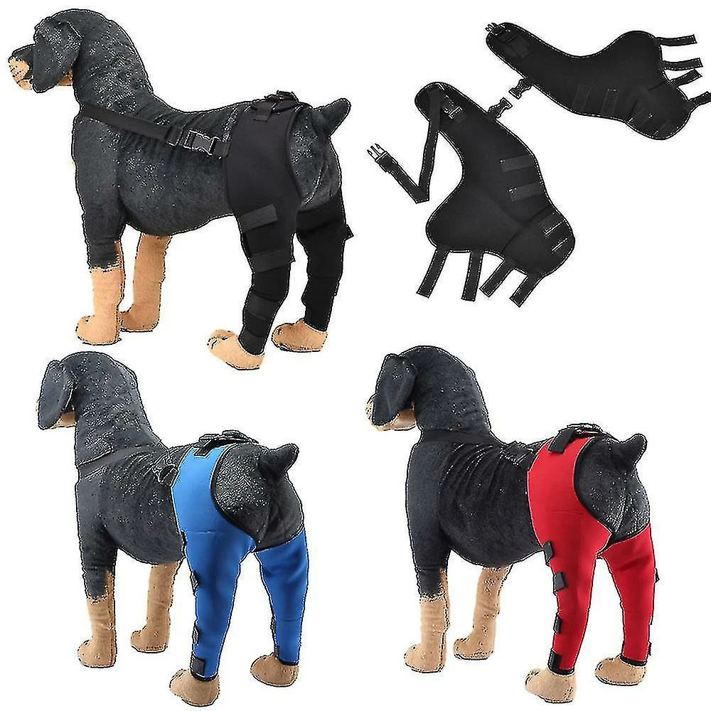 Loffity Dog Elbow Brace Protector Pads Pet Dog Hind Legs Protector Réglable Dogs Knee Brace Leg Support Xs Blue 2 Loffity Dog Elbow Brace Protector Pads Pet Dog Hind Legs Protector Réglable Dogs Knee Brace Leg Support Xs Blue – Image 2