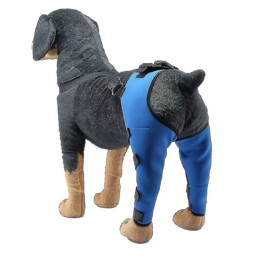 Loffity Dog Elbow Brace Protector Pads Pet Dog Hind Legs Protector Réglable Dogs Knee Brace Leg Support Xs Blue 1 Loffity Dog Elbow Brace Protector Pads Pet Dog Hind Legs Protector Réglable Dogs Knee Brace Leg Support Xs Blue
