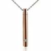 Unbranded Cylindre Pet Cremation Urns Collier Acier Inoxydable Cat Dog Ash Memorial Container Holder