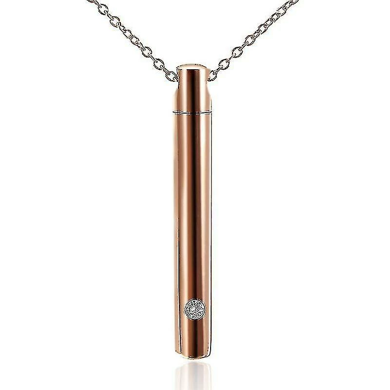 Unbranded Cylindre Pet Cremation Urns Collier Acier Inoxydable Cat Dog Ash Memorial Container Holder 1 Unbranded Cylindre Pet Cremation Urns Collier Acier Inoxydable Cat Dog Ash Memorial Container Holder