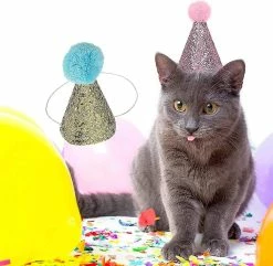 Unbranded Pet Birthday Hat Kitten Christmas Hat Party Pet Hat Dog Hat - 2 Pièces 6 Unbranded Pet Birthday Hat Kitten Christmas Hat Party Pet Hat Dog Hat - 2 Pièces -Pet Soin 642450641 max