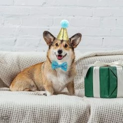 Unbranded Pet Birthday Hat Kitten Christmas Hat Party Pet Hat Dog Hat - 2 Pièces 8 Unbranded Pet Birthday Hat Kitten Christmas Hat Party Pet Hat Dog Hat - 2 Pièces -Pet Soin 642451040 max