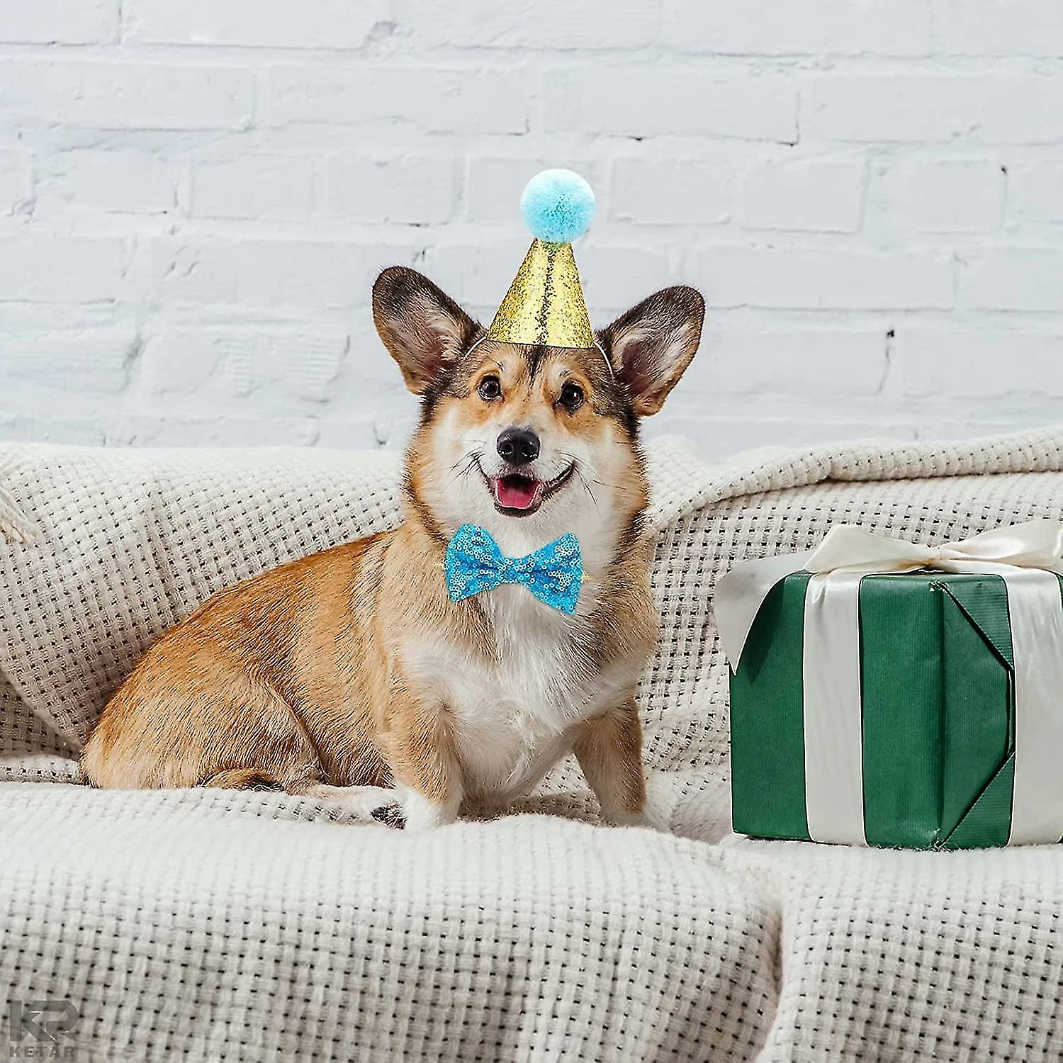 Unbranded Pet Birthday Hat Kitten Christmas Hat Party Pet Hat Dog Hat - 2 Pièces 4 Unbranded Pet Birthday Hat Kitten Christmas Hat Party Pet Hat Dog Hat - 2 Pièces – Image 4