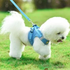 Unbranded 2 Packsharness And Leash Set Pour Cat Dog Walking Escape Proof, Step-in Easy Control Outdoor Jacket, Réglable Réfléchissant Respirable Soft Air Mesh Ves -Pet Soin 642787666 max