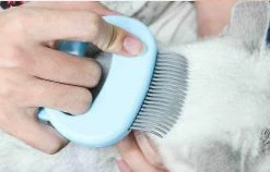 Unbranded Pet Cat Dog Massage Shell Peigne Peigne De Peigne De Chat Brosse De Nettoyage Convient Pour Le Toilettage Des Soins Des Poils D’animaux De Compagnie à La Brosse D’épilation Lâche Brosse Pour Animaux De Compagnie (vert)1pcs -Pet Soin 643777222 max