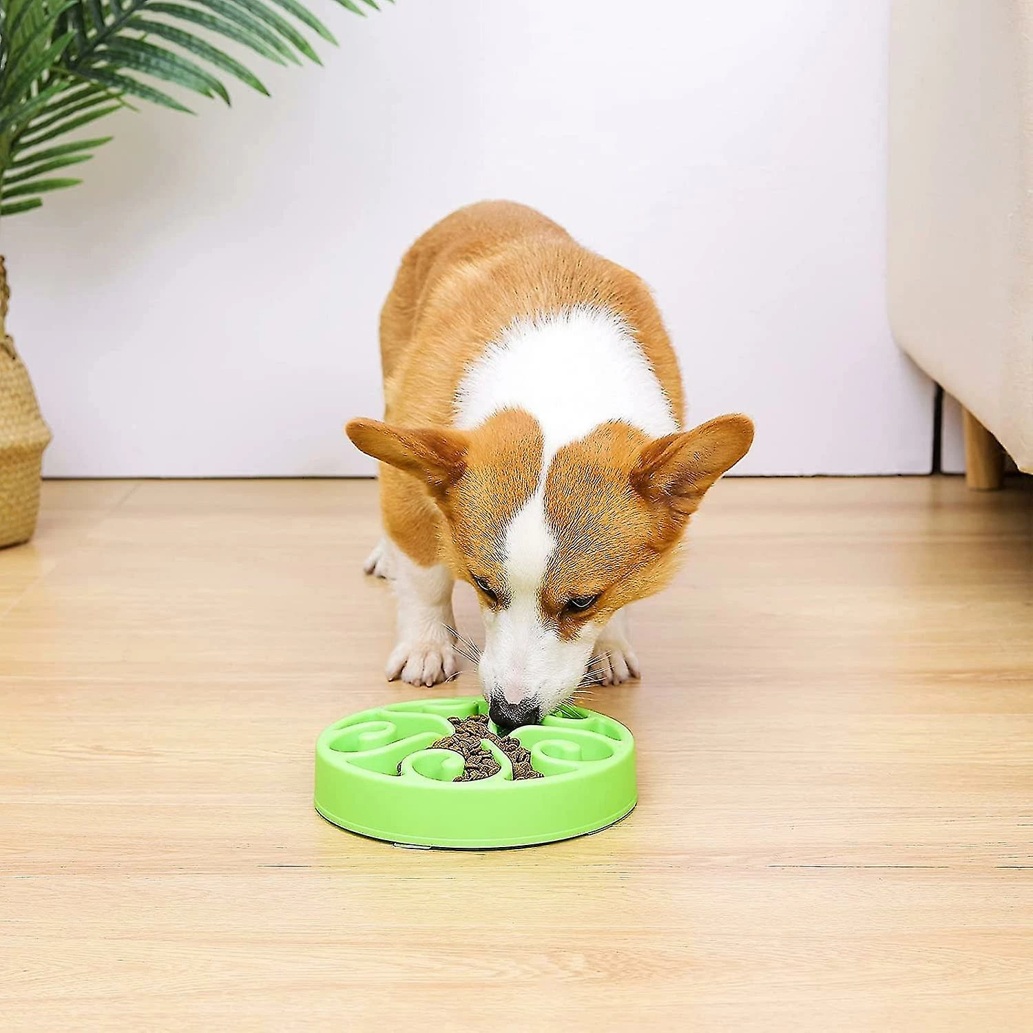 Unbranded Shxx Slow Feeder Dog Bowl, Pet Slow Feeding Plate, Maze Interactive Dog Puzzle, Fun Feeder Expansion Stop Slow Bowl, Non Toxique Et Anti-suffocation, 5 Unbranded Shxx Slow Feeder Dog Bowl, Pet Slow Feeding Plate, Maze Interactive Dog Puzzle, Fun Feeder Expansion Stop Slow Bowl, Non Toxique Et Anti-suffocation, – Image 5