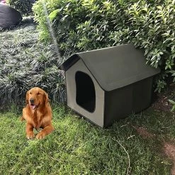 Unbranded Imperméable à L’eau Pet Outdoor Cat, Dog House Cat House Villa Tente Pliable Pet Shelter 7 Unbranded Imperméable à L’eau Pet Outdoor Cat, Dog House Cat House Villa Tente Pliable Pet Shelter -Pet Soin 650357885 max