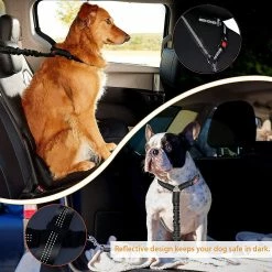 Unbranded Ceinture De Sécurité De Voiture Pour Chien, 2 Pack Appui-tête Réglable Pet Dog Seat Belt Ceinture De Sécurité En Plomb (noir) 6 Unbranded Ceinture De Sécurité De Voiture Pour Chien, 2 Pack Appui-tête Réglable Pet Dog Seat Belt Ceinture De Sécurité En Plomb (noir) -Pet Soin 650359484 max