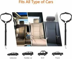 Unbranded Ceinture De Sécurité De Voiture Pour Chien, 2 Pack Appui-tête Réglable Pet Dog Seat Belt Ceinture De Sécurité En Plomb (noir) 7 Unbranded Ceinture De Sécurité De Voiture Pour Chien, 2 Pack Appui-tête Réglable Pet Dog Seat Belt Ceinture De Sécurité En Plomb (noir) -Pet Soin 650359652 max