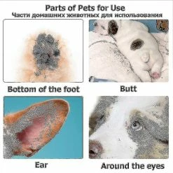 Unbranded Tondeuses Pour Chiens Professionnel Pet Foot Hair Trimmer Dog Growth Scissors Usb Rechargeable Butt Ear Eye Hair Clipper -Pet Soin 651455367 max