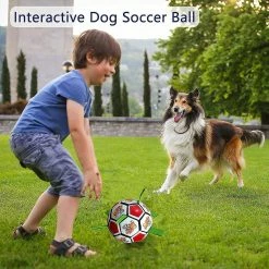 Unbranded Dog Toys Balls, Jouets Interactifs De Football Pour Chiens Avec Onglets De Saisie, Jouets De Jardin Pour Chiens En Plein Air -Pet Soin 651736629 max