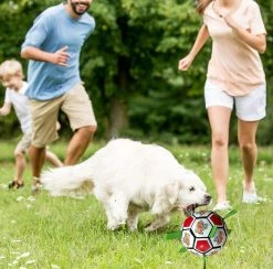 Unbranded Dog Toys Balls, Jouets Interactifs De Football Pour Chiens Avec Onglets De Saisie, Jouets De Jardin Pour Chiens En Plein Air -Pet Soin 651736833 max