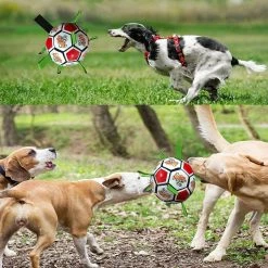 Unbranded Dog Toys Balls, Jouets Interactifs De Football Pour Chiens Avec Onglets De Saisie, Jouets De Jardin Pour Chiens En Plein Air -Pet Soin 651753069 max