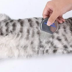 Unbranded 10 Pcs Pet Supplies Hardcover Flea Comb Dog Cleaning And Beauty Tools Pet Comb 6 Unbranded 10 Pcs Pet Supplies Hardcover Flea Comb Dog Cleaning And Beauty Tools Pet Comb -Pet Soin 656320019 max