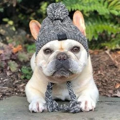 Jccc L 53-61cm; Gris Hiver Pet Cat Dog Hat Cap Noël Chaud Coupe-vent Chapeaux Pour Chiens En Laine Accessoires Pour Petits Chiens Moyens Casquettes De Bouledogue En Plein Air -Pet Soin 659138151 max