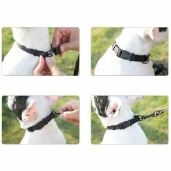 Jccc Collier Rouge De Charme Réfléchissant;s Sunrain Tactical Dog Collar Super Soft Neoprene Rempli De Dog Collar 9 Jccc Collier Rouge De Charme Réfléchissant;s Sunrain Tactical Dog Collar Super Soft Neoprene Rempli De Dog Collar -Pet Soin 659153283 max