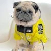 Unbranded The Dog Face Imperméable Et Dog Coat Vêtements Pour Animaux De Compagnie
