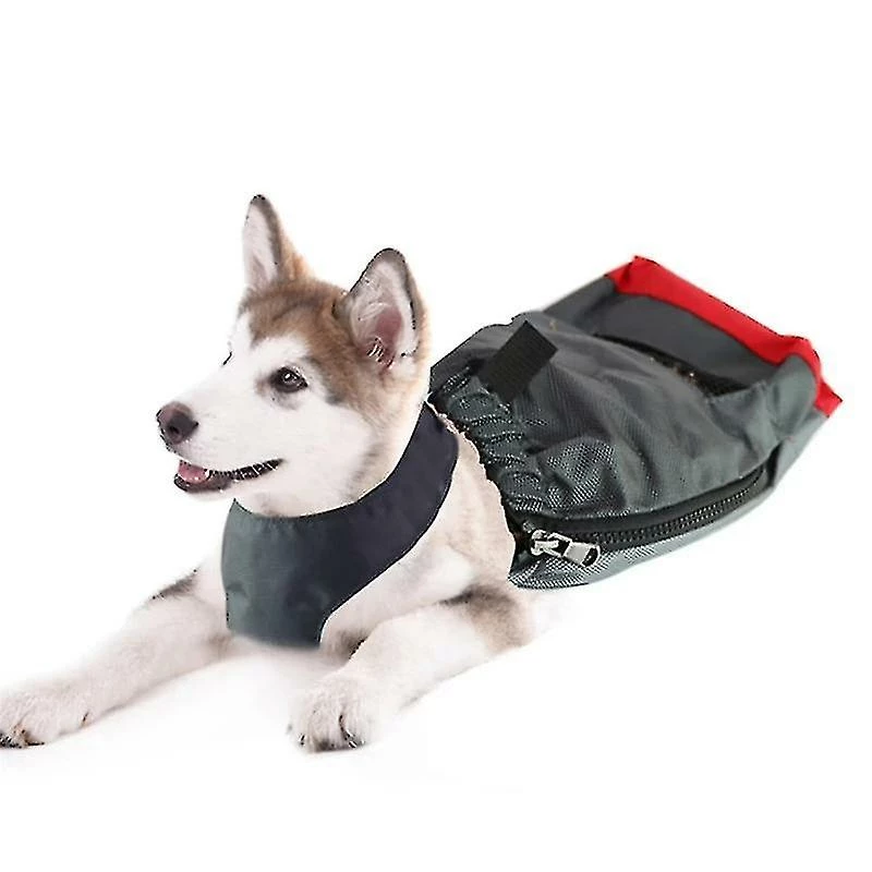 SIGMA Pet Dog Durable Respirant Sac De Protection Hind Disabled Leg Drag Bag Pour Paralysé Pet Dog Clothes Protection Tow Bag 1 SIGMA Pet Dog Durable Respirant Sac De Protection Hind Disabled Leg Drag Bag Pour Paralysé Pet Dog Clothes Protection Tow Bag