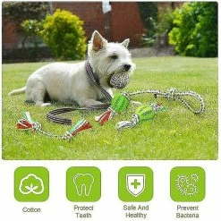 Heytea Jouets Interactifs à Mâcher Pour Chiens, 4 Pcs Healwe Dog Teether Toys Avec Balles Et Ficelles 7 Heytea Jouets Interactifs à Mâcher Pour Chiens, 4 Pcs Healwe Dog Teether Toys Avec Balles Et Ficelles -Pet Soin 664219080 max