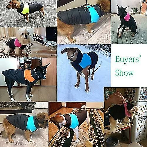 Heytea Pet Dog Warm Coat Jacket Imperméable Vêtements Petit Moyen Grand Pet Dog Catgift 4 Heytea Pet Dog Warm Coat Jacket Imperméable Vêtements Petit Moyen Grand Pet Dog Catgift – Image 4