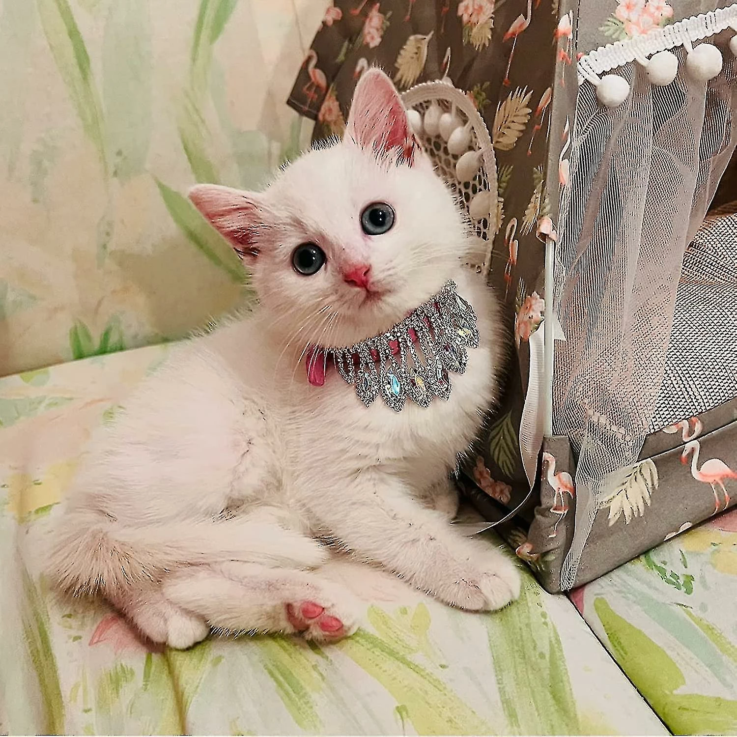 Unbranded Bling Strass Dog Collar Soft Réglable Diamond Pendentif Crystal Puppy Cat Collars Gem Strass Pet Collar Pet Supplies-s 5 Unbranded Bling Strass Dog Collar Soft Réglable Diamond Pendentif Crystal Puppy Cat Collars Gem Strass Pet Collar Pet Supplies-s – Image 5