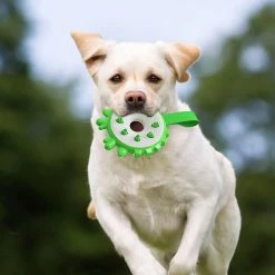 Unbranded Molar Interactif Toy Dog Donut Toy Pour Chiens D’intérieur Tpr Dog Donut Toy Livraison Gratuite 7 Unbranded Molar Interactif Toy Dog Donut Toy Pour Chiens D’intérieur Tpr Dog Donut Toy Livraison Gratuite -Pet Soin 666599018 max