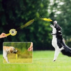 Unbranded Molar Interactif Toy Dog Donut Toy Pour Chiens D’intérieur Tpr Dog Donut Toy Livraison Gratuite 8 Unbranded Molar Interactif Toy Dog Donut Toy Pour Chiens D’intérieur Tpr Dog Donut Toy Livraison Gratuite -Pet Soin 666599135 max