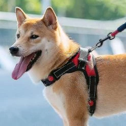 Unbranded Pet Dog Leash Tract Harness Drag - -l Aespa 7 Unbranded Pet Dog Leash Tract Harness Drag - -l Aespa -Pet Soin 670410251 max