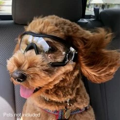 Attoe Imperméable à L’eau Protection Des Yeux Coupe-vent Cool Dog Goggles Sangle Réglable 8 Attoe Imperméable à L’eau Protection Des Yeux Coupe-vent Cool Dog Goggles Sangle Réglable -Pet Soin 673687151 max
