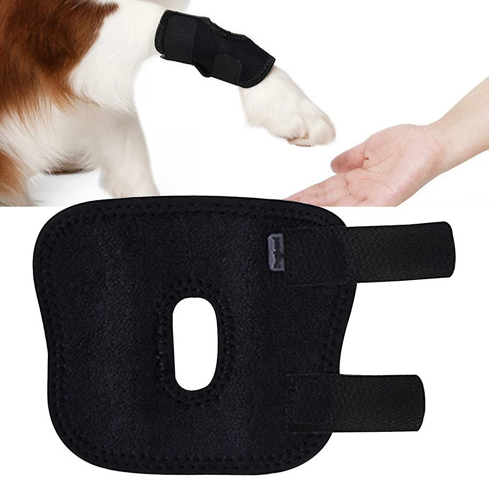 Attoe Hock Protector Entorse Néoprène Fixation Articulaire Knee Support Wrap Dog 1 Attoe Hock Protector Entorse Néoprène Fixation Articulaire Knee Support Wrap Dog