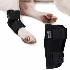Attoe Hock Protector Entorse Néoprène Fixation Articulaire Knee Support Wrap Dog 8 Attoe Hock Protector Entorse Néoprène Fixation Articulaire Knee Support Wrap Dog -Pet Soin 674960510 max