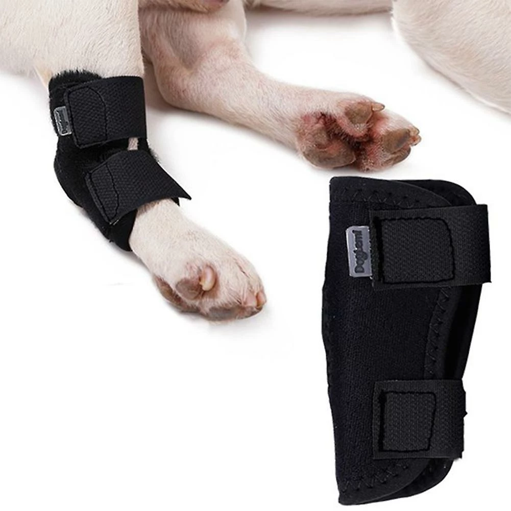 Attoe Hock Protector Entorse Néoprène Fixation Articulaire Knee Support Wrap Dog 4 Attoe Hock Protector Entorse Néoprène Fixation Articulaire Knee Support Wrap Dog – Image 4