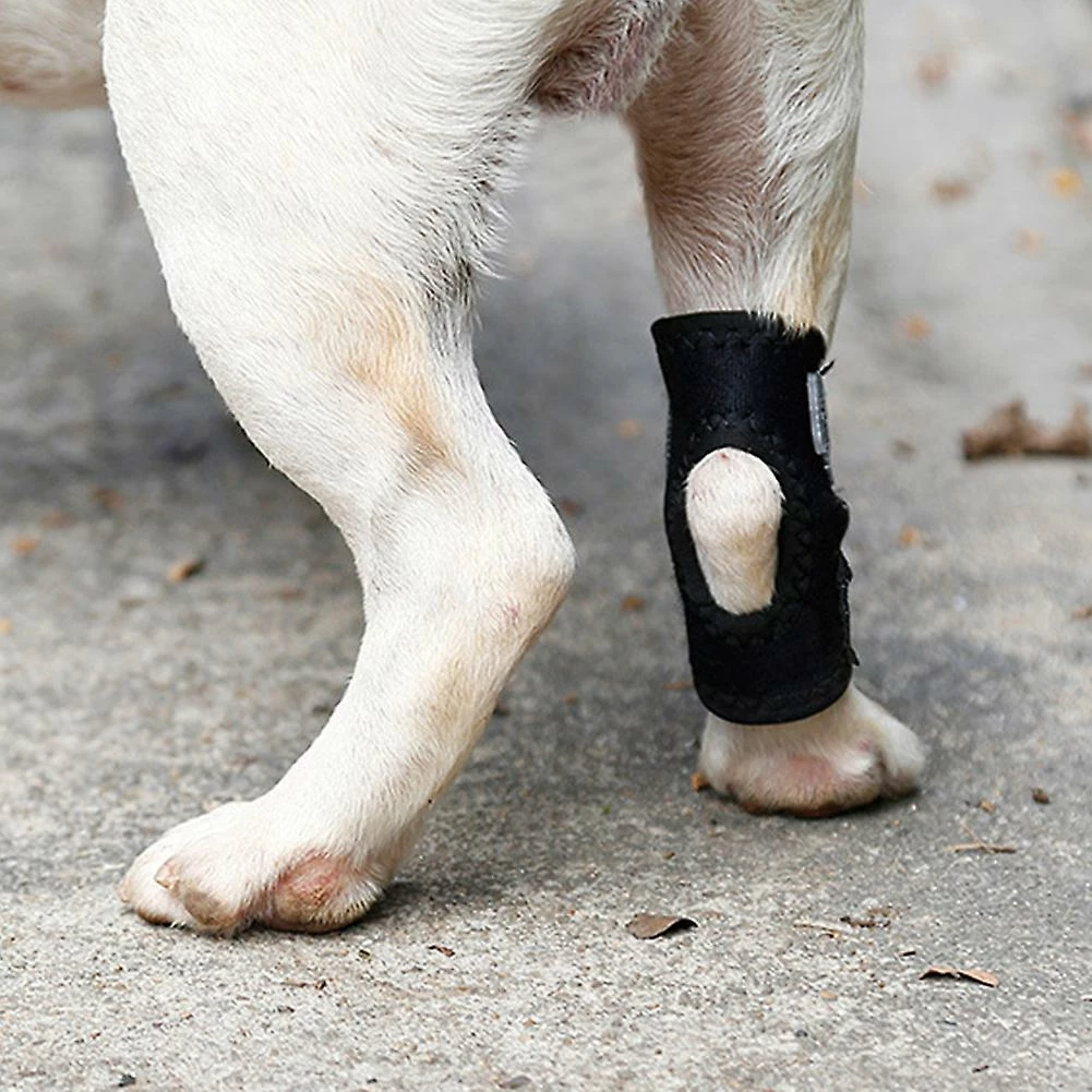 Attoe Hock Protector Entorse Néoprène Fixation Articulaire Knee Support Wrap Dog 5 Attoe Hock Protector Entorse Néoprène Fixation Articulaire Knee Support Wrap Dog – Image 5