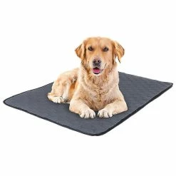 Unbranded Pet Pad Épaississant Absorbant Et Désodorisant Dog Pet Pads Doux Lavable Pet 8 Unbranded Pet Pad Épaississant Absorbant Et Désodorisant Dog Pet Pads Doux Lavable Pet -Pet Soin 676812742 max