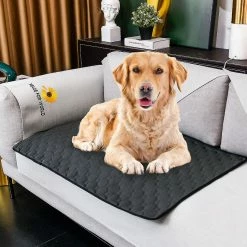 Unbranded Pet Pad Épaississant Absorbant Et Désodorisant Dog Pet Pads Doux Lavable Pet 9 Unbranded Pet Pad Épaississant Absorbant Et Désodorisant Dog Pet Pads Doux Lavable Pet -Pet Soin 676812795 max
