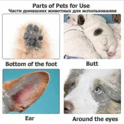 Dxn Tondeuses Pour Chiens Professionnel Pet Foot Hair Trimmer Dog Growth Scissors Usb Rechargeable Butt Ear Eye Hair Clipper 7 Dxn Tondeuses Pour Chiens Professionnel Pet Foot Hair Trimmer Dog Growth Scissors Usb Rechargeable Butt Ear Eye Hair Clipper -Pet Soin 678830461 max