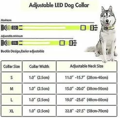 Unbranded Ultra Light Usb Rechargeable Led Dog Collar - Réglable Led Collar Dog - Collier Pour Chien Étanche - Collier Pour Chien Clignotant Visibilité Et Sécurité Pour Vos Chiens -Pet Soin 688379440 max