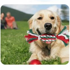 Unbranded Corde Dog Jouets Jouer Chiens Jouets Cadeau Pour Animaux Propriétaire Tir à La Guerre Indestructible -Pet Soin 690996935 max