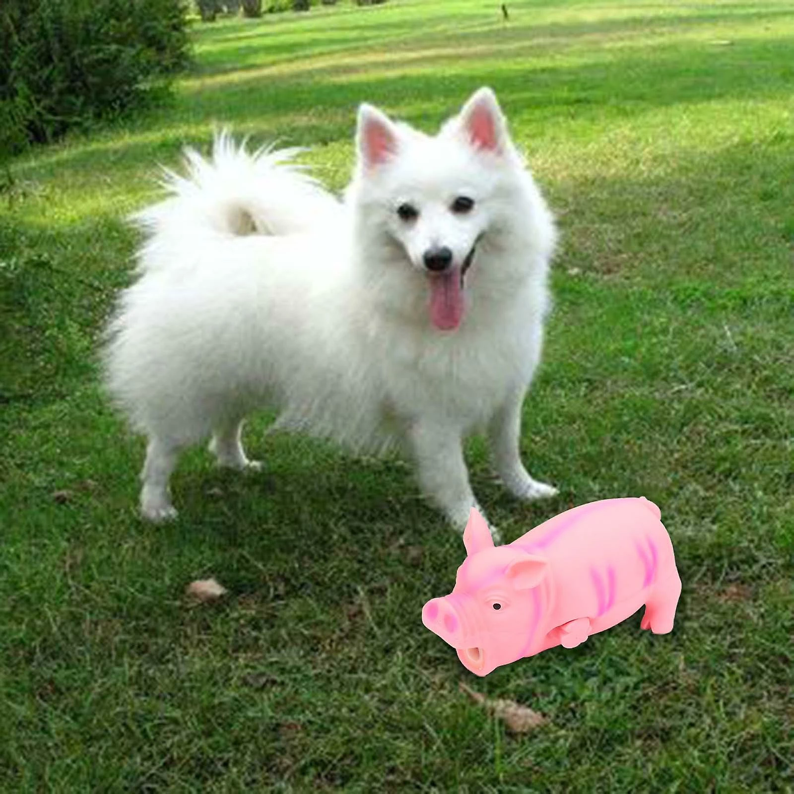 Unbranded Dog Toy Squeak Latex Pig Natural Rubber Animal Interactive Chew Toys Pour Chiens 3 Unbranded Dog Toy Squeak Latex Pig Natural Rubber Animal Interactive Chew Toys Pour Chiens – Image 3