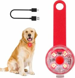 Szlzkj Pet Dog Collar Highlight Led Luminous Pendentif Imperméable à L’eau USB Charge Anti-perdu Collier Nuit Sécurité Clignotant