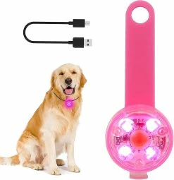 Szlzkj Pet Dog Collar Highlight Led Luminous Pendentif Imperméable à L’eau USB Charge Anti-perdu Collier Nuit Sécurité Clignotant