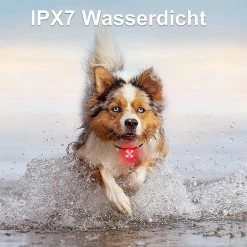 Szlzkj Pet Dog Collar Highlight Led Luminous Pendentif Imperméable à L’eau USB Charge Anti-perdu Collier Nuit Sécurité Clignotant -Pet Soin 691441160 max