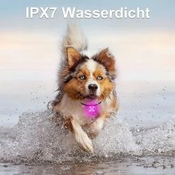 Szlzkj Pet Dog Collar Highlight Led Luminous Pendentif Imperméable à L’eau USB Charge Anti-perdu Collier Nuit Sécurité Clignotant -Pet Soin 691441168 max