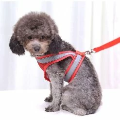 Unbranded Dog Leash Dog Harness Dog Leash Set Pet Harness And Leash For Walking With Reflective Strip - Xl,11 7 Unbranded Dog Leash Dog Harness Dog Leash Set Pet Harness And Leash For Walking With Reflective Strip - Xl,11 -Pet Soin 700035975 max