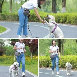 Unbranded Dog Treat Bag Extérieur Amovible Intérieur Double Couche Imperméable à L’eau Collations Réglables, Gris, 11 7 Unbranded Dog Treat Bag Extérieur Amovible Intérieur Double Couche Imperméable à L’eau Collations Réglables, Gris, 11 -Pet Soin 700041059 max