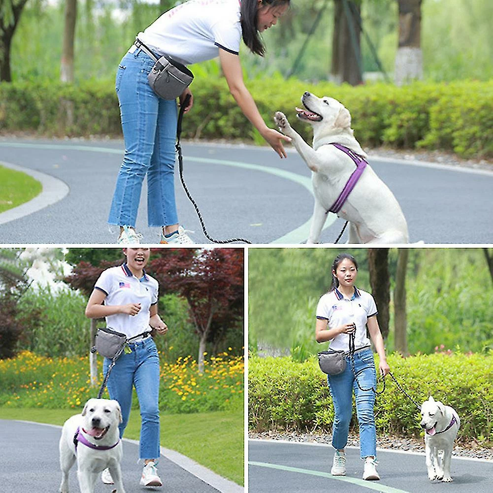 Unbranded Dog Treat Bag Extérieur Amovible Intérieur Double Couche Imperméable à L’eau Collations Réglables, Gris, 11 3 Unbranded Dog Treat Bag Extérieur Amovible Intérieur Double Couche Imperméable à L’eau Collations Réglables, Gris, 11 – Image 3