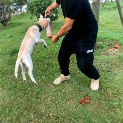 Unbranded Dog Training Pillow Resistant Interactive Play Toy Strong Handles Teeth Clean Dog Tugs Toy -Pet Soin 701550704 max