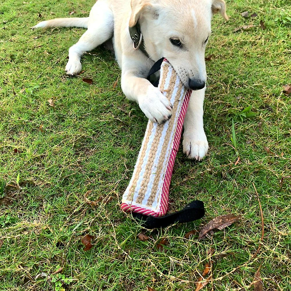 Unbranded Dog Training Pillow Resistant Interactive Play Toy Strong Handles Teeth Clean Dog Tugs Toy 3 Unbranded Dog Training Pillow Resistant Interactive Play Toy Strong Handles Teeth Clean Dog Tugs Toy – Image 3