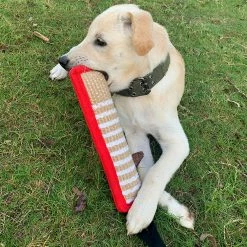 Unbranded Dog Training Pillow Resistant Interactive Play Toy Strong Handles Teeth Clean Dog Tugs Toy 7 Unbranded Dog Training Pillow Resistant Interactive Play Toy Strong Handles Teeth Clean Dog Tugs Toy -Pet Soin 701561947 max