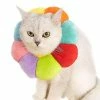 Daka Dog Cone Collar Pet E-collar Recovery Pet Cone Collarl Multicolor)